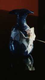 Vase14-kl.jpg (3182 Byte)